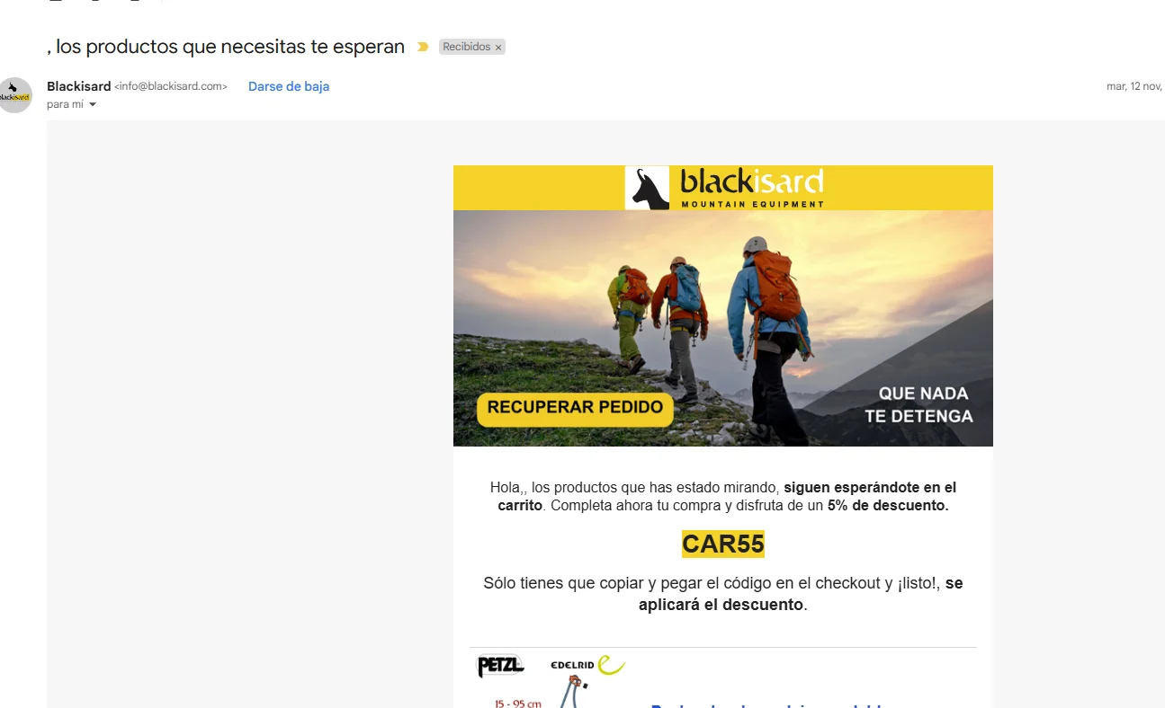 Cómo personalizar las campañas de email marketing carrito abandonado 